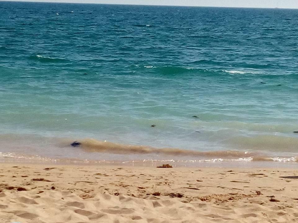 Apartamento Azul Armação de Pêra