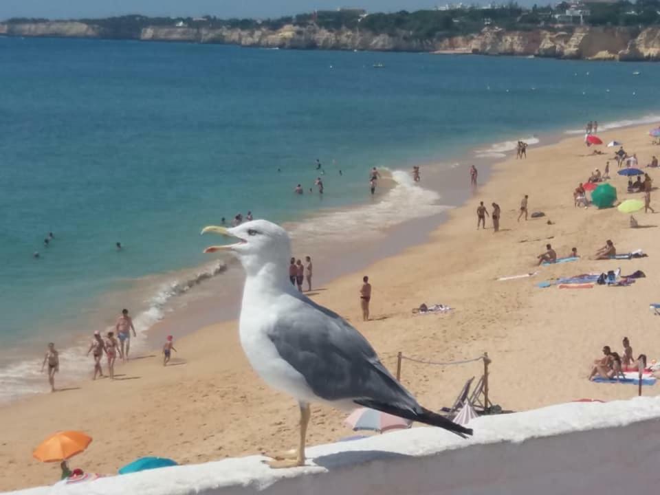 Apartamento Azul Armação de Pêra